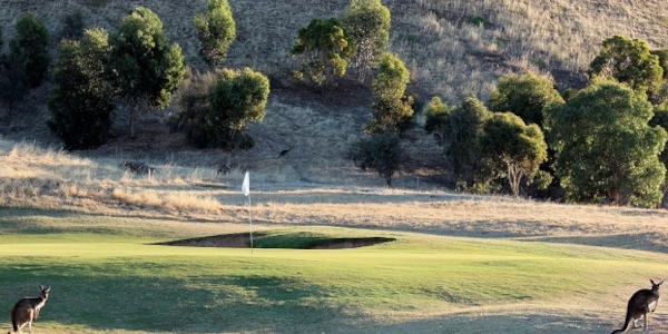 The Links Golf